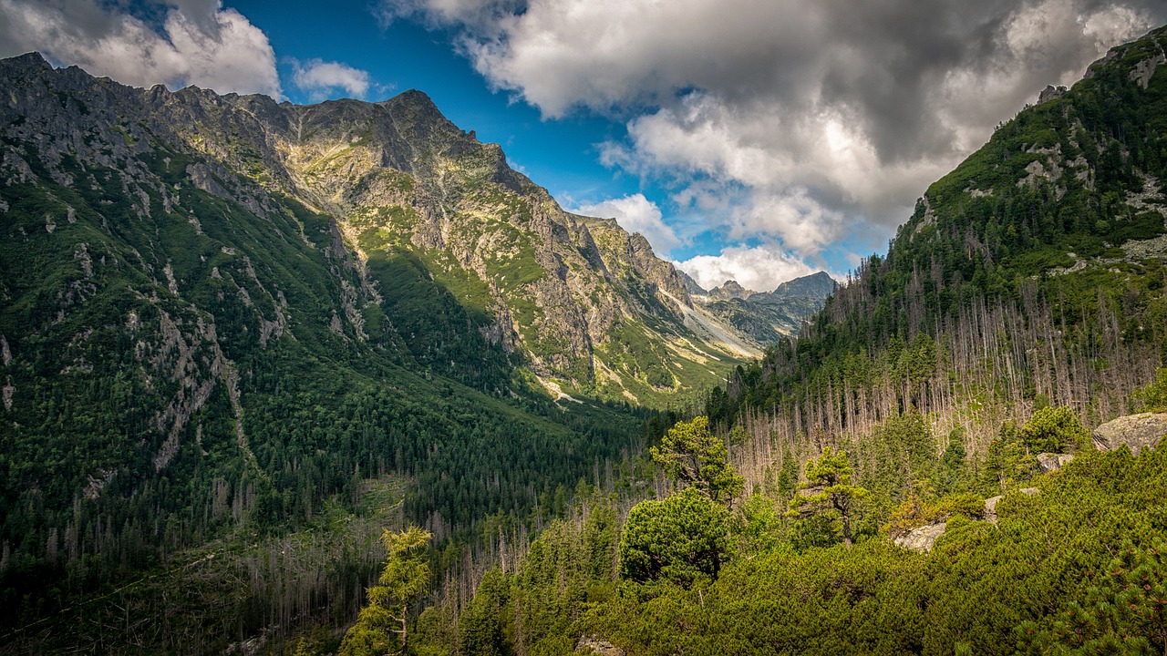 vysoké tatry, tatry, nature